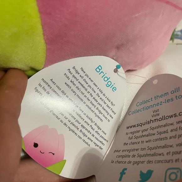 BNWT Squishmallow Pink Tulip Brigie 8” - Picture 3 of 3